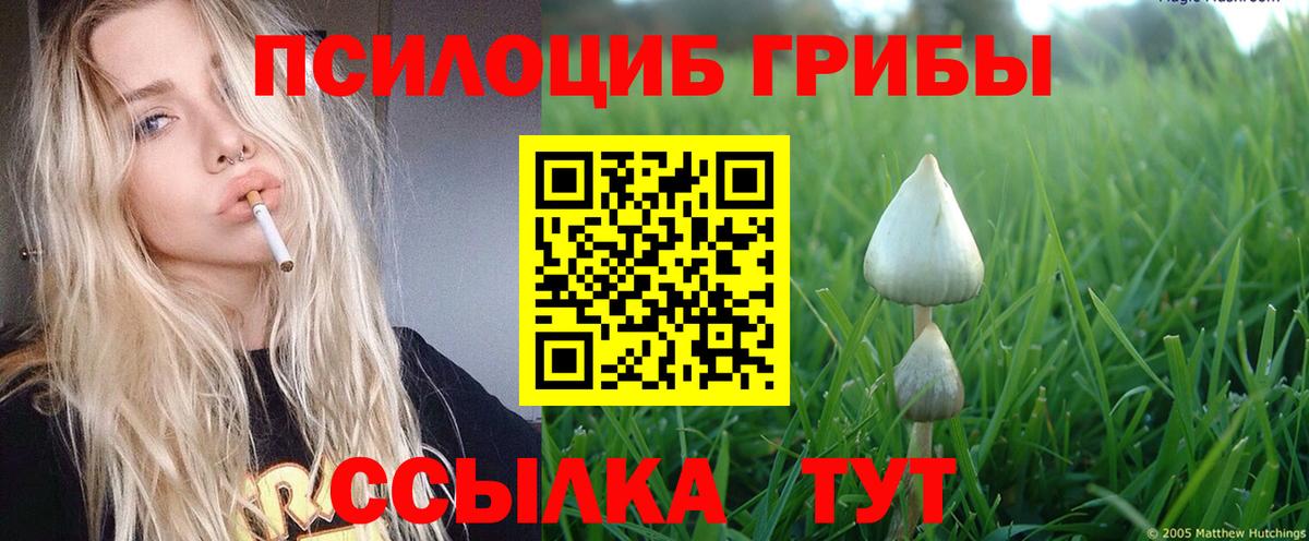 Киржач  Галлюциногенные грибы GOLDEN TEACHER  Вход с VPN  Псилоцибиновые грибы мухоморы 